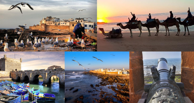 Smile Voyage Excursion Essaouira – Mogador Depuis Marrakech