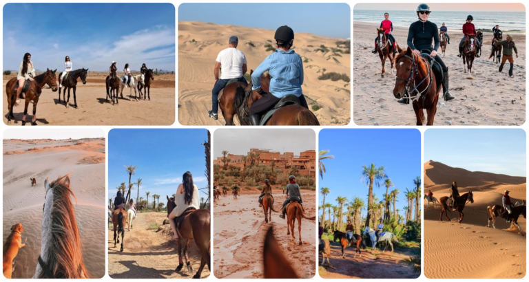 Smile Voyage Promenade A Cheval