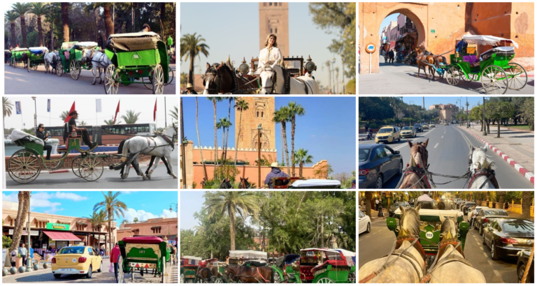 Smile Voyage Promenade En Caleche A Marrakech