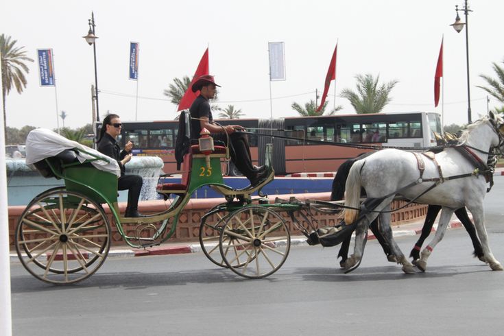 Smile Voyage SAUVONS LES CALECHES DE MARRAKECH MANGIN@MARRAKECH