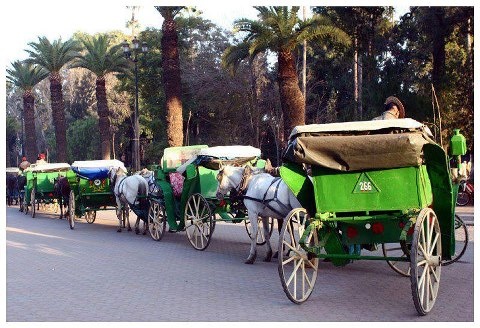 Smile Voyage Caleche Marrakech