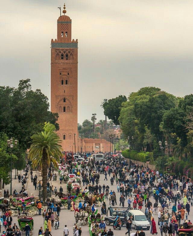 Smile Voyage Telechargement 7